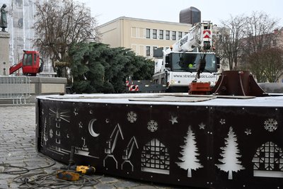 Į Klaipėdą atkeliavo kalėdinė eglutė