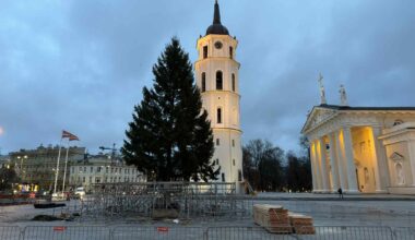 Katedros aikštėje jau stovi eglė