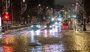 Kalendorinės žiemos pradžia bus rudeniška - Delfi