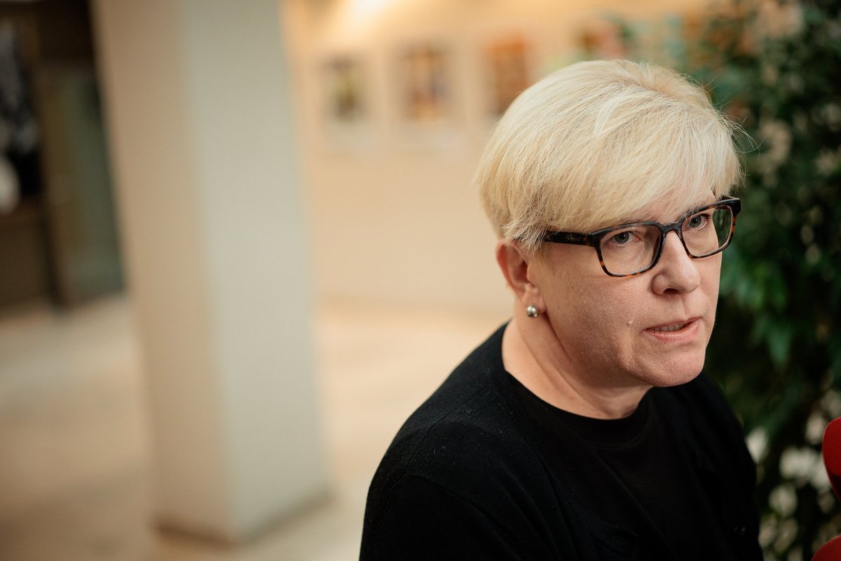 Šimonytė: jeigu Žemaitaitis imtų terorizuoti socialdemokratus, būtų galima kalbėtis dėl palaikymo biudžetui