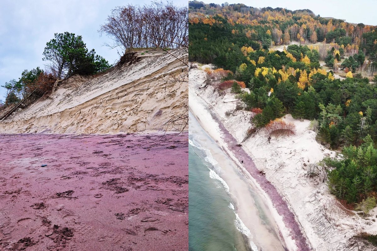 Baltijos jūros pakrantėje Lenkijoje – violetinis smėlis
