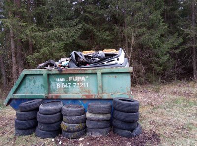 Miške rastos padangos