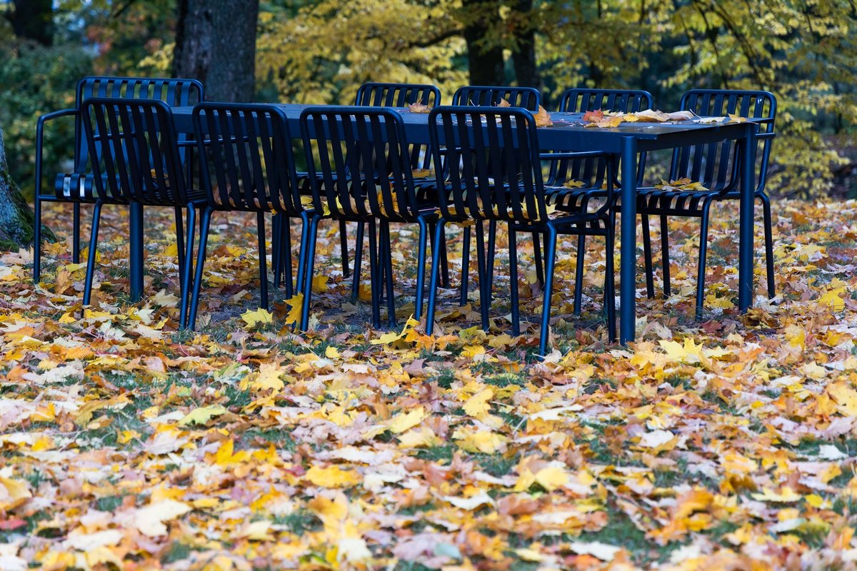 Sinoptikė: lapkričiui įsibėgėjant, Lietuvoje tęsis ramių orų laikotarpis - Delfi