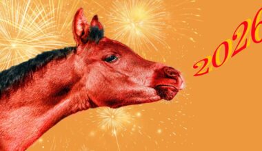 Raudonasis Ugninis Arklys – 2026 metų simbolis: kam prasideda itin palankus laikas?