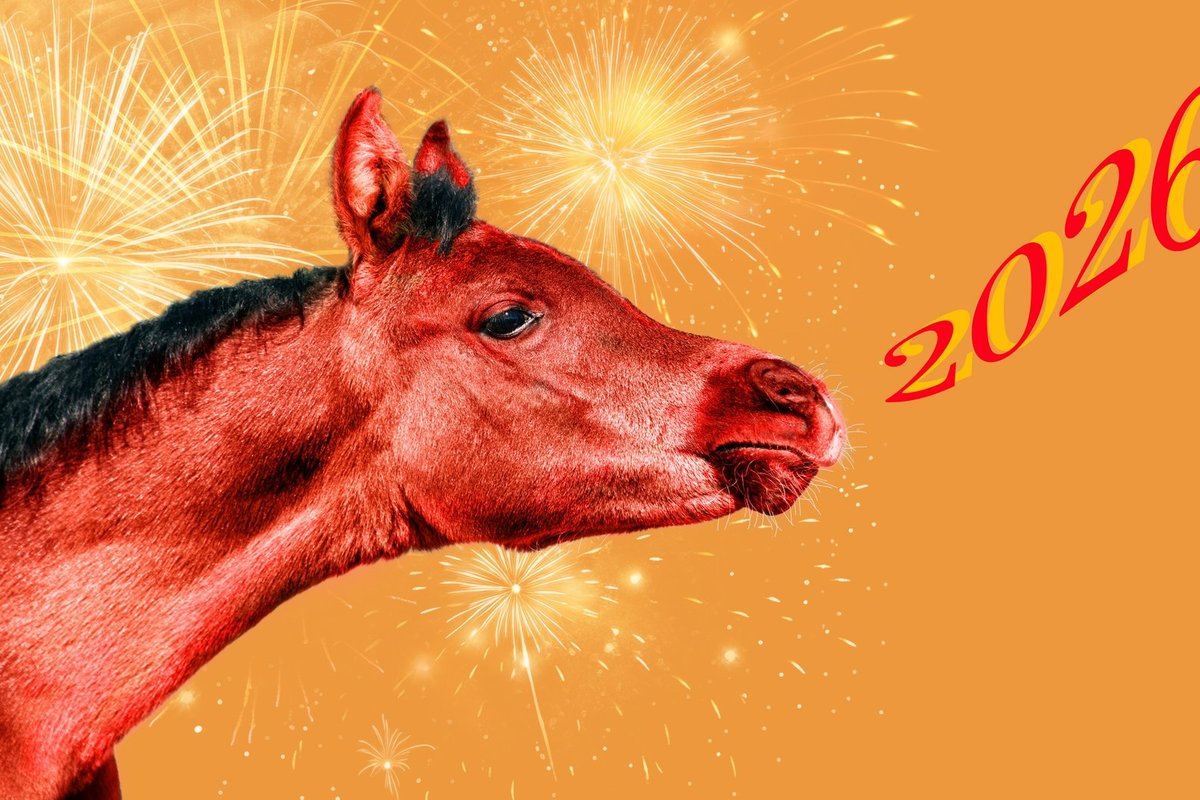 Raudonasis Ugninis Arklys – 2026 metų simbolis: kam prasideda itin palankus laikas?