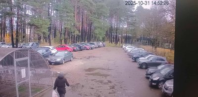 Aiškėja daugiau dėl Druskininkuose dingusio vaikino – policija plečia paiešką