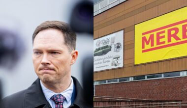 Finansų ministras, rusų oligarchas ir „Mere“ – kas juos sieja?