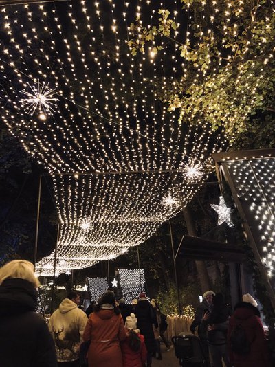 Kalėdinis savaitgalis Vienoje (Justinos Asakavičiūtės nuotr.) 