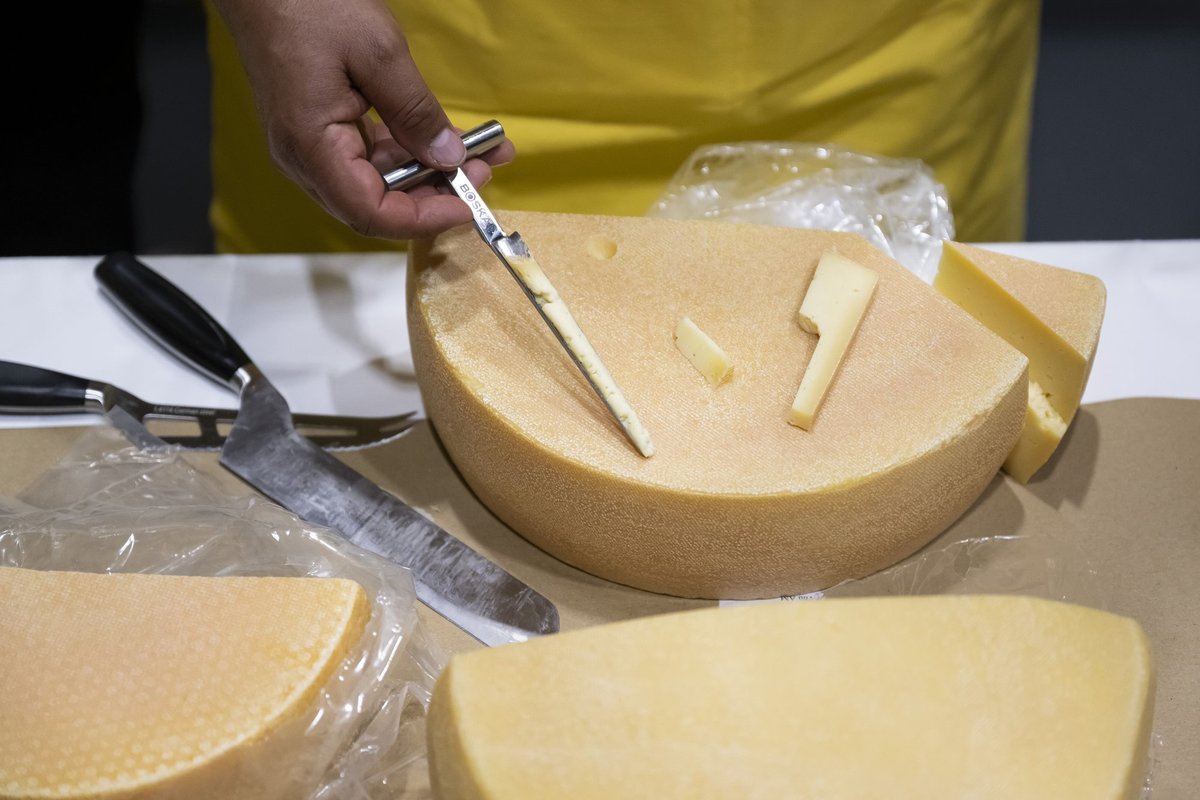 Išrinktas geriausias sūris pasaulyje – įveikė per 5 tūkstančius varžovų