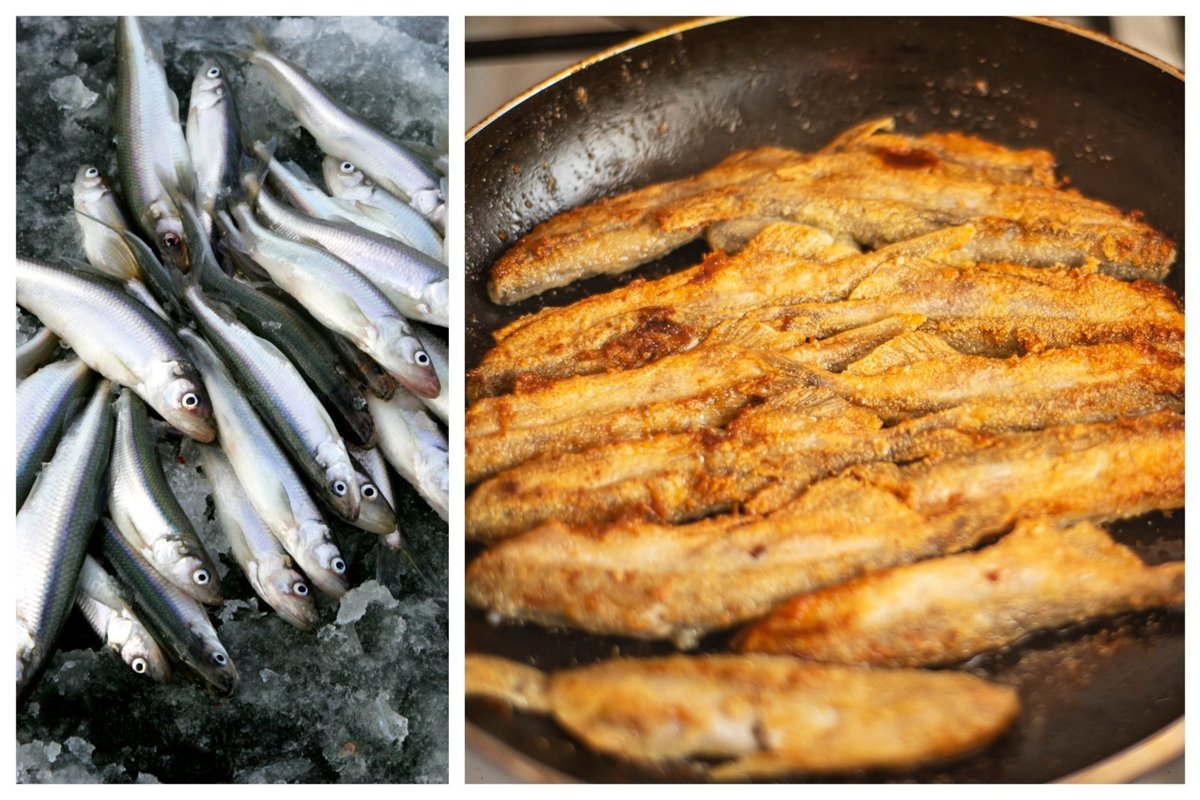 Pasirodė pirmosios stintos: už kilogramą teks pakloti daug