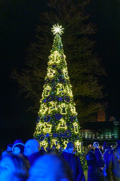 Trakuose sužibo eglutė