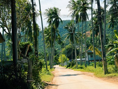 Orijus Gasanovas atostogauja Tailande