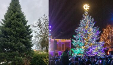 Klaipėda išsirinko 2025 metų kalėdinę eglutę