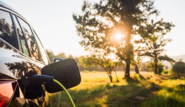Padidinto pravažumo automobilių bumas: ko reikia, kad į madą grįžtų klasikiniai automobilių kėbulo tipai?