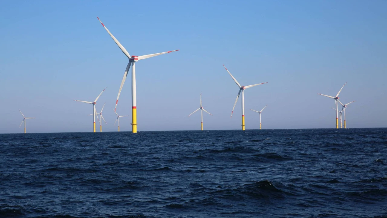 Dienos akcentai: audito išvados dėl „Ignitis grupės“ jūrinio vėjo parko ir operacija skraidinamai kontrabandai užkardyti