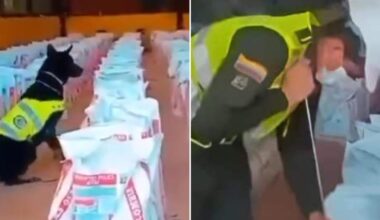 To nebuvo dešimtmetį: Kolumbijoje konfiskuotas rekordinis kokaino kiekis