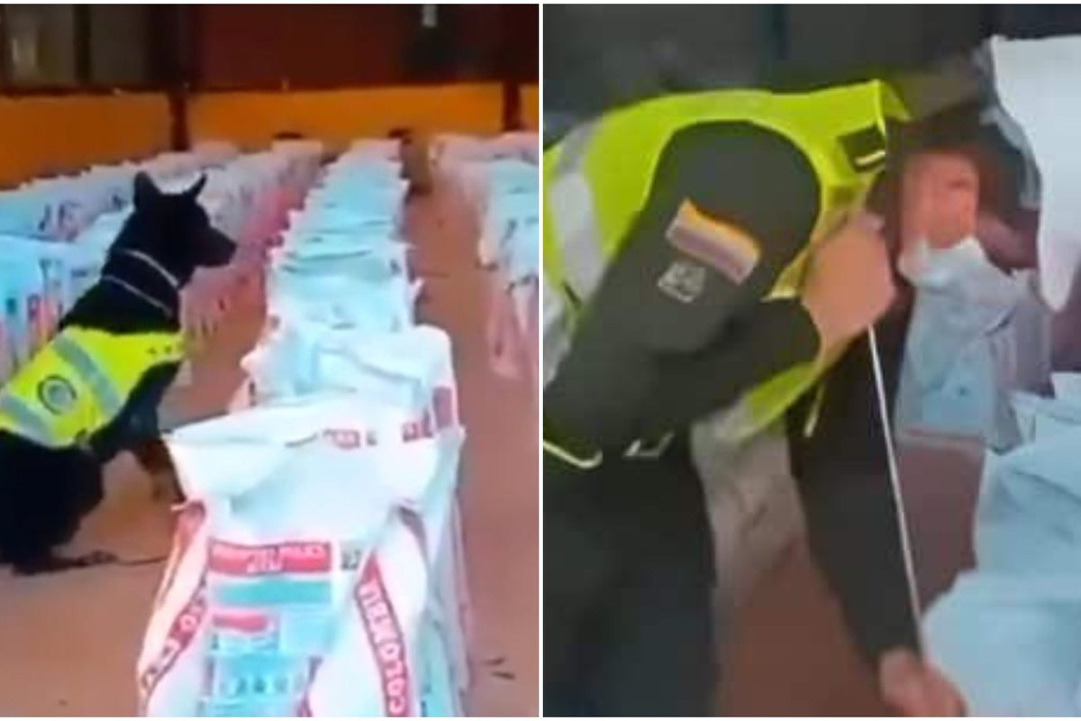 To nebuvo dešimtmetį: Kolumbijoje konfiskuotas rekordinis kokaino kiekis