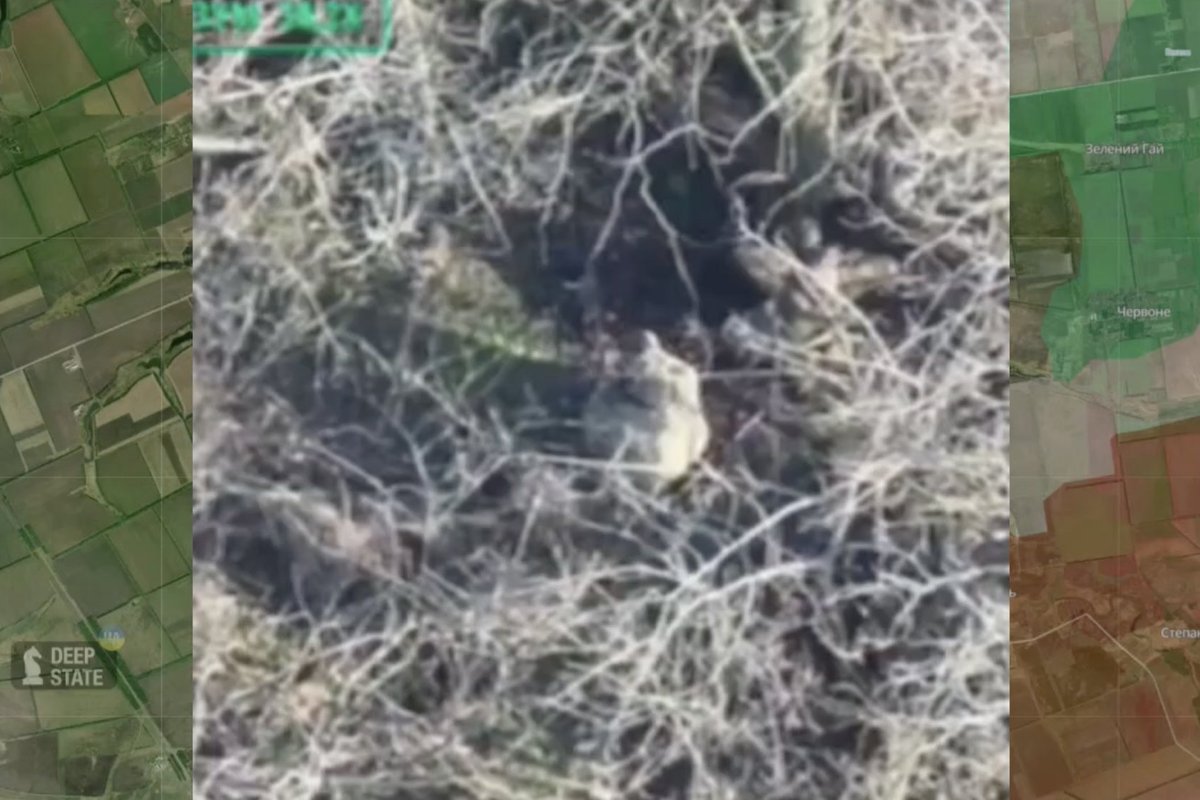 Karas Ukrainoje. Rusai Zaporižios srityje įvykdė egzekucijas dviem Ukrainos karo belaisviams - Delfi