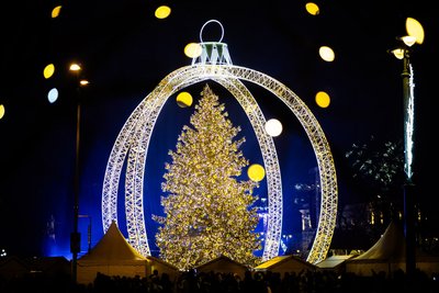 Vilniaus Kalėdų eglė