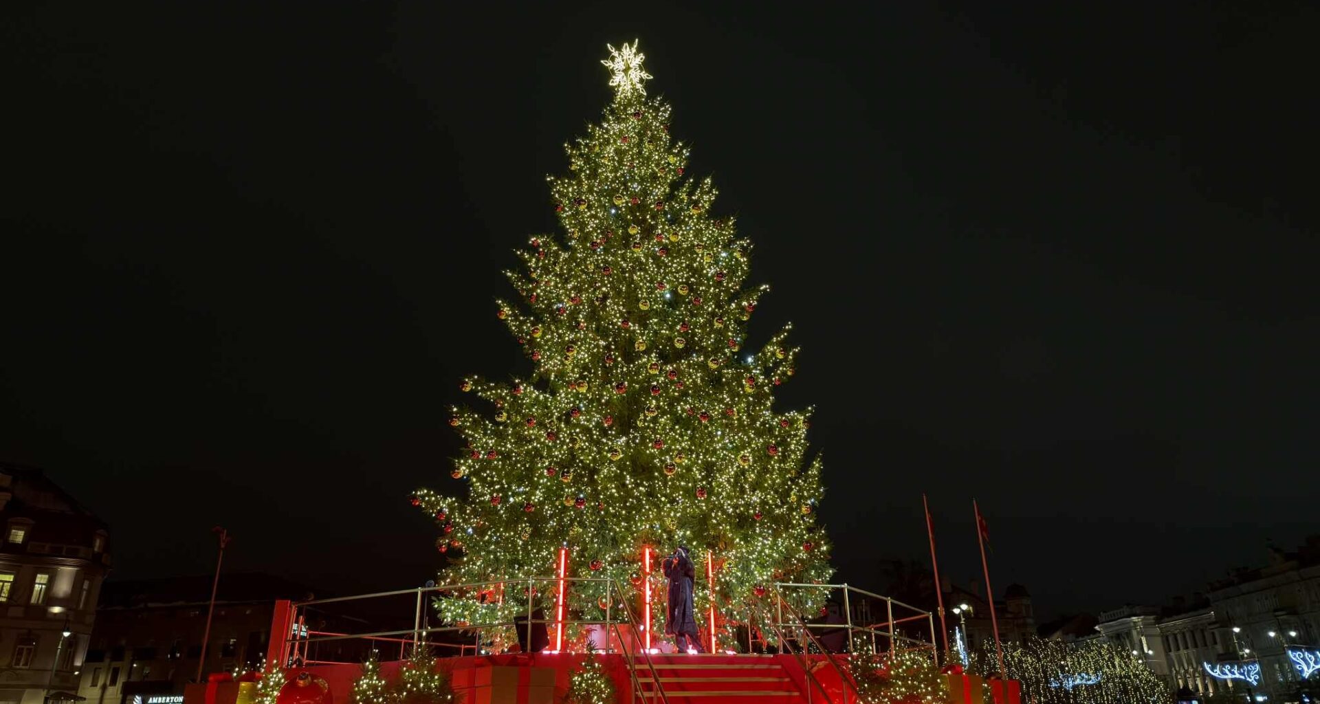Katedros aikštėje sužibo nepaprasto grožio kalėdinė eglė
