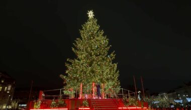 Katedros aikštėje sužibo nepaprasto grožio kalėdinė eglė