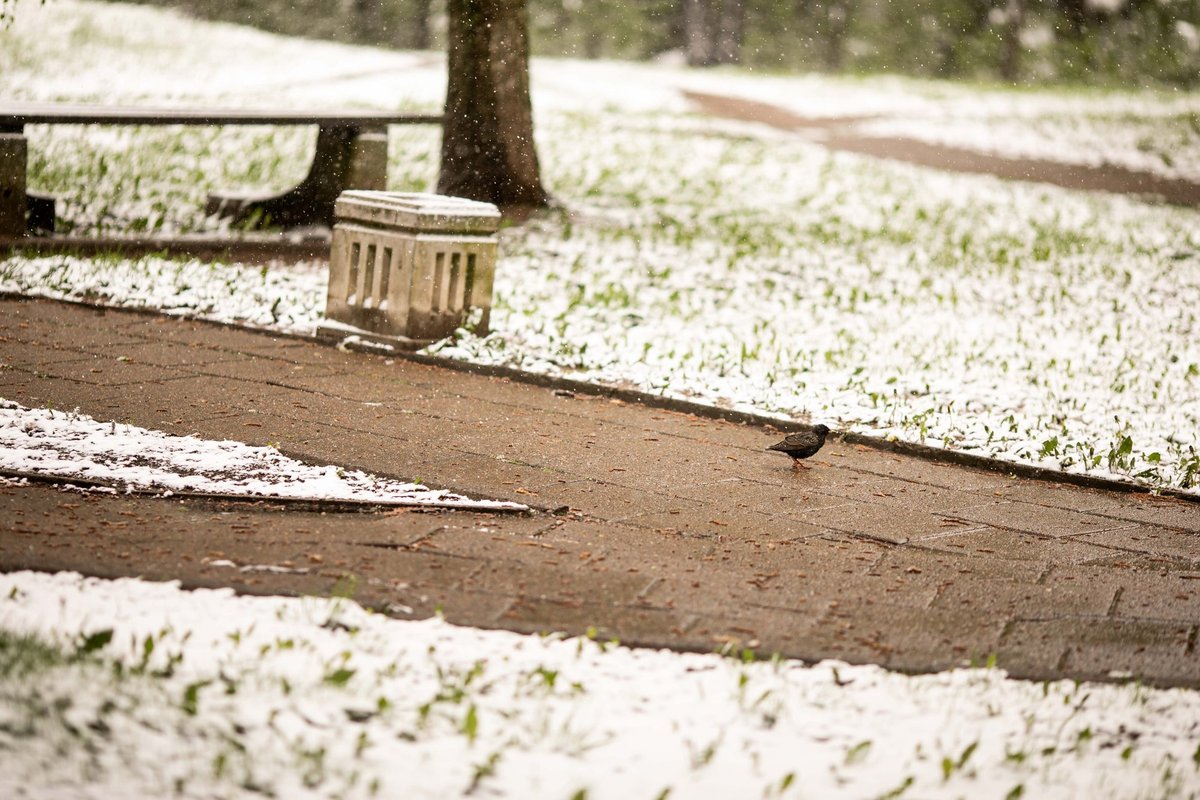 Sinoptikė: artėjant savaitgaliui kai kur gali pasirodyti ir pirmasis sniegas