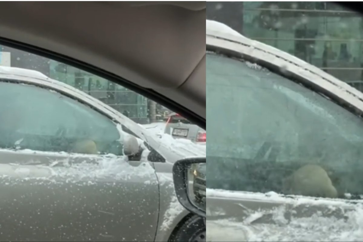 Pareigūnus nustebino tėvų neatsakingumas: vaiką vežėsi tarp kojų