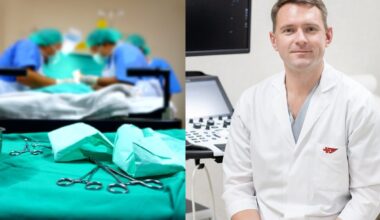 Apipjaustymas Lietuvoje: naujausios technologijos ir mitų paneigimas