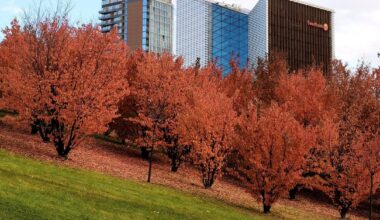 Orai.lt: tęsis sausų orų periodas, bus šilčiau
