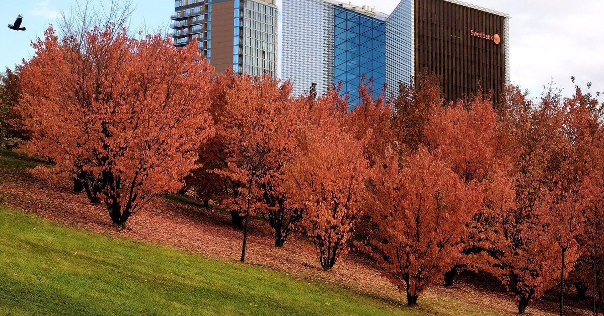 Orai.lt: tęsis sausų orų periodas, bus šilčiau