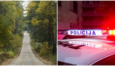 Siaubinga tragedija miške, Vilniuje: žuvo vyras – rastas duobėje