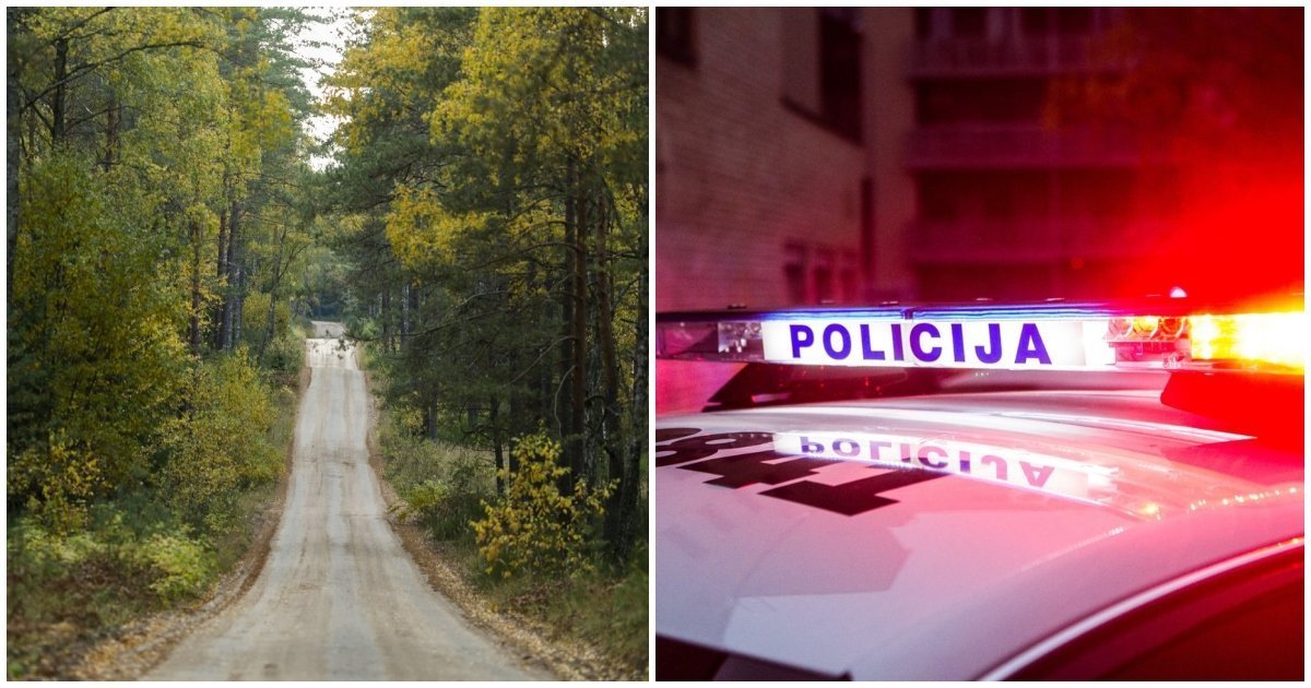 Siaubinga tragedija miške, Vilniuje: žuvo vyras – rastas duobėje