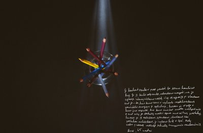 „Pieštukai. Sūnus kankino savo motiną. Jis badydavo ją išgaląstais pieštukais. Kai pieštukas lūždavo, jis ėmė naują ir badė toliau. Jos rankos, kaklas ir nugara buvo nusėti mėlynėmis, randais ir dūriais.“ Aut. Alexander Vasukovich 