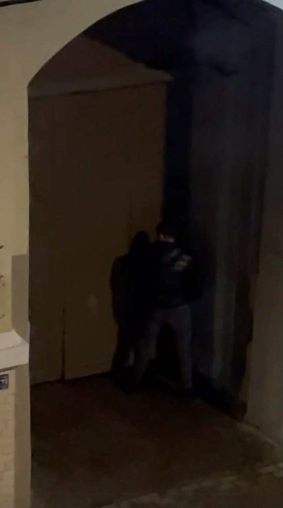 Violetos Baublienės paviešintų vaizdo įrašų stopkadrai