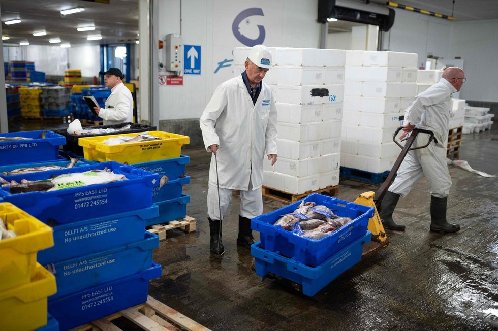 Žuvininkystė (nuotr. SCANPIX)