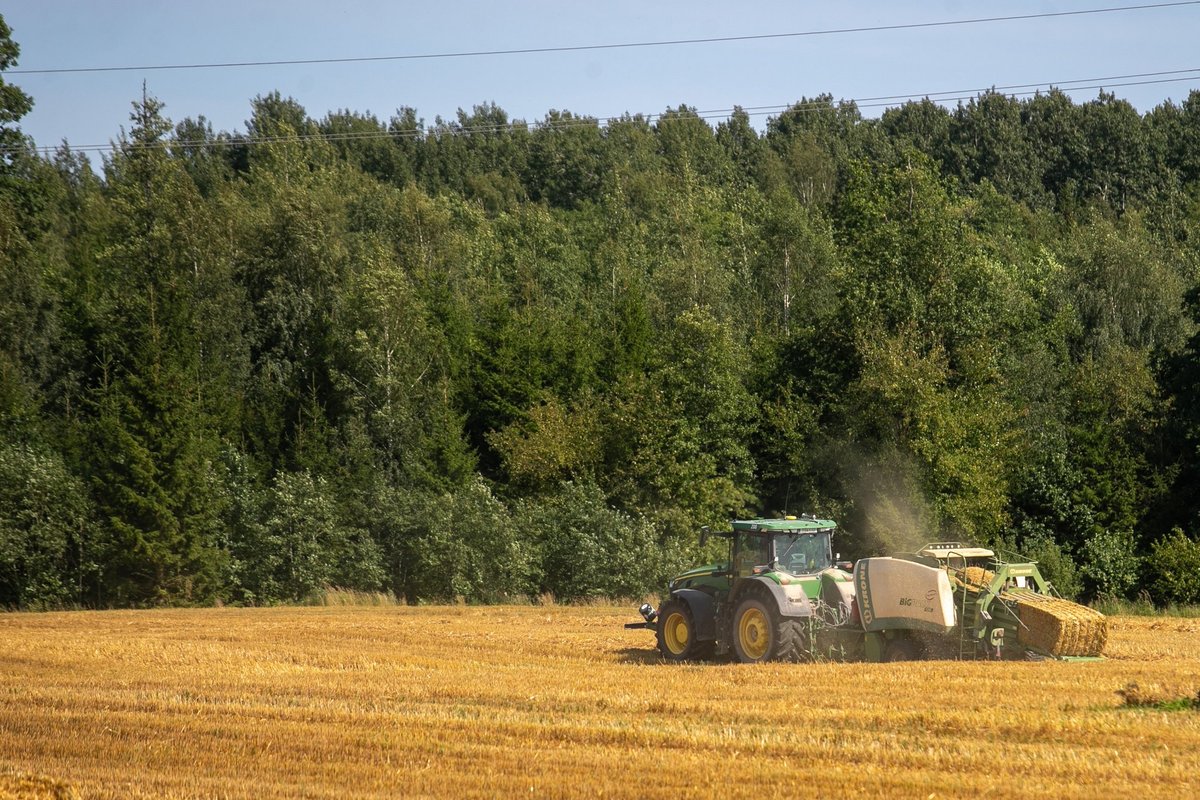 Siūloma parduoti mažus valstybės sklypus: kone milijardas gynybai