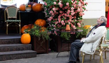 „Sodra“: ką žinoti norintiems tęsti arba pradėti pensijų kaupimą