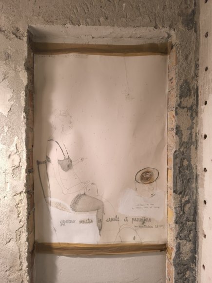 Karolinos Stažytės nuotr./Birštone veikiantis gastrobaras „Pievos“ ir virš jo atidaromi nauji apartamentai