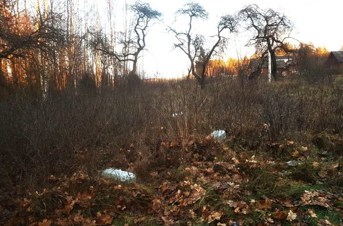 VSAT nuotr./Bylos įkalčiai