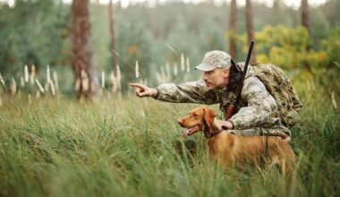 Kelte iš Barselonos į Maljorką žuvo 27 medžiokliniai šunys