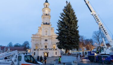 Į Kauno Rotušės aikštę jau atkeliavo Kalėdų eglė