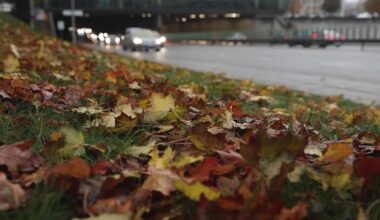 Sinoptikai pateikė naujausią prognozę: ypač įspėja vairuotojus - Delfi