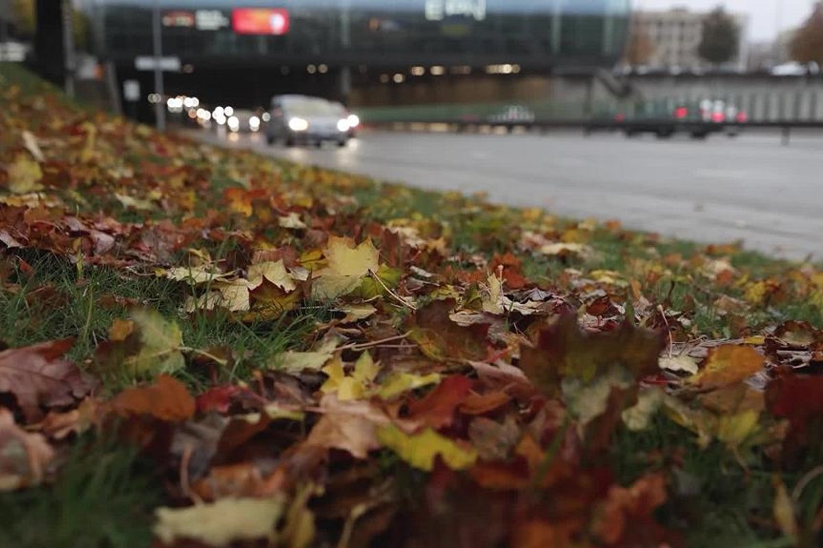 Sinoptikai pateikė naujausią prognozę: ypač įspėja vairuotojus - Delfi