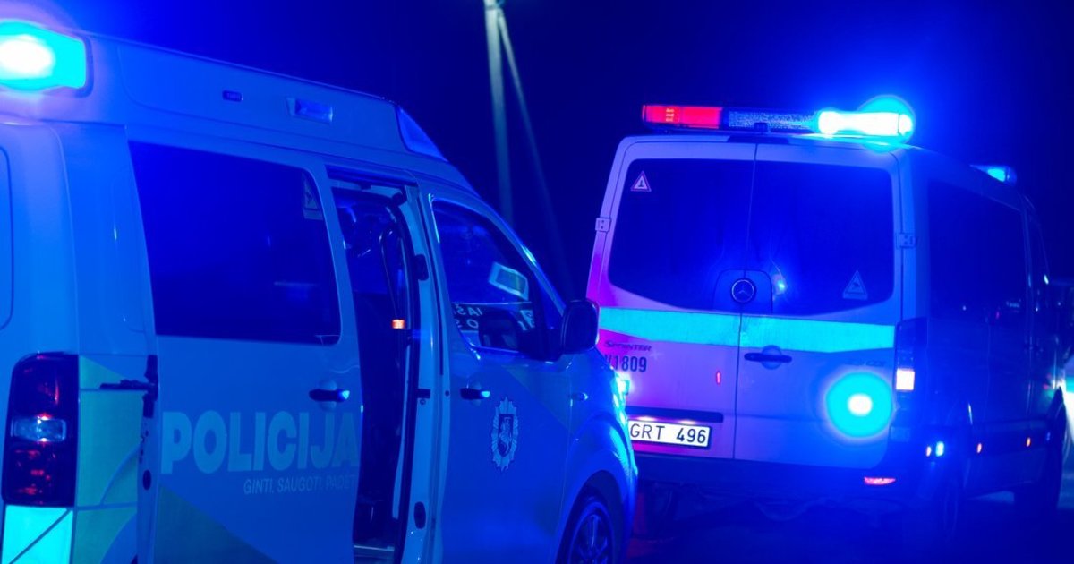 „Pradėjo lįsti prie mano draugės“ – įtūžusio Roko elgesys peraugo į muštynes