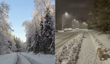 Kodėl Lietuvoje skiriasi orai: Platelių ir Plungės pavyzdys