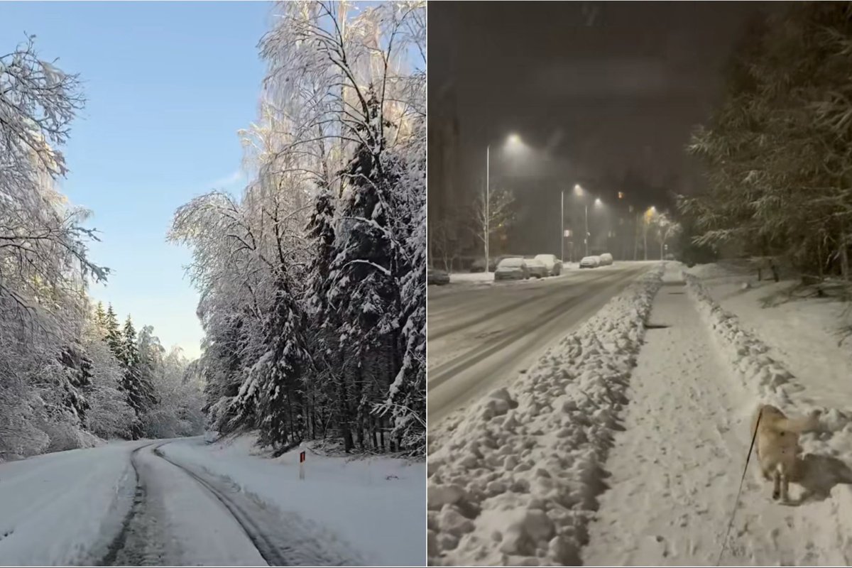 Kodėl Lietuvoje skiriasi orai: Platelių ir Plungės pavyzdys