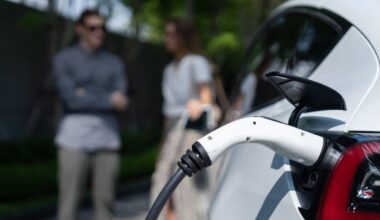 Devynis kartus pamatuojantis verslas – ant elektromobilumo lūžio taško: akivaizdi nauda ar mados vaikymasis?