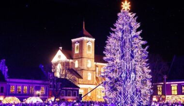 Kaune įžiebta Kalėdų eglė: prabangi žaliaskarė stebina savo grožiu