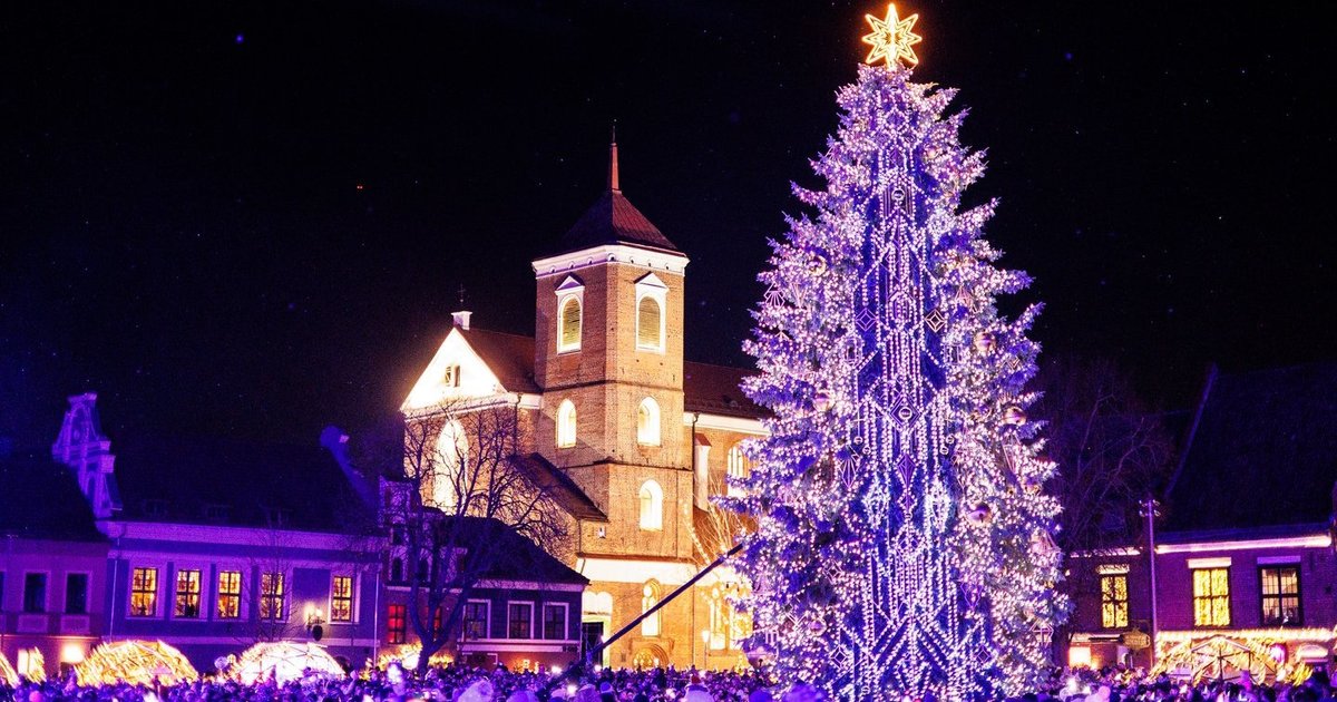 Kaune įžiebta Kalėdų eglė: prabangi žaliaskarė stebina savo grožiu