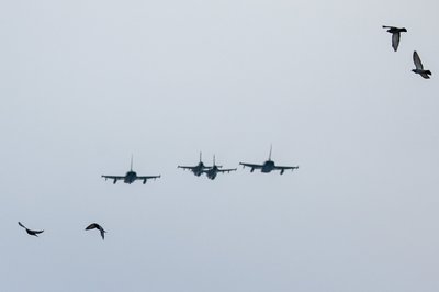 Lietuvos kariuomenės dienos minėjimas Katedros aikštėje